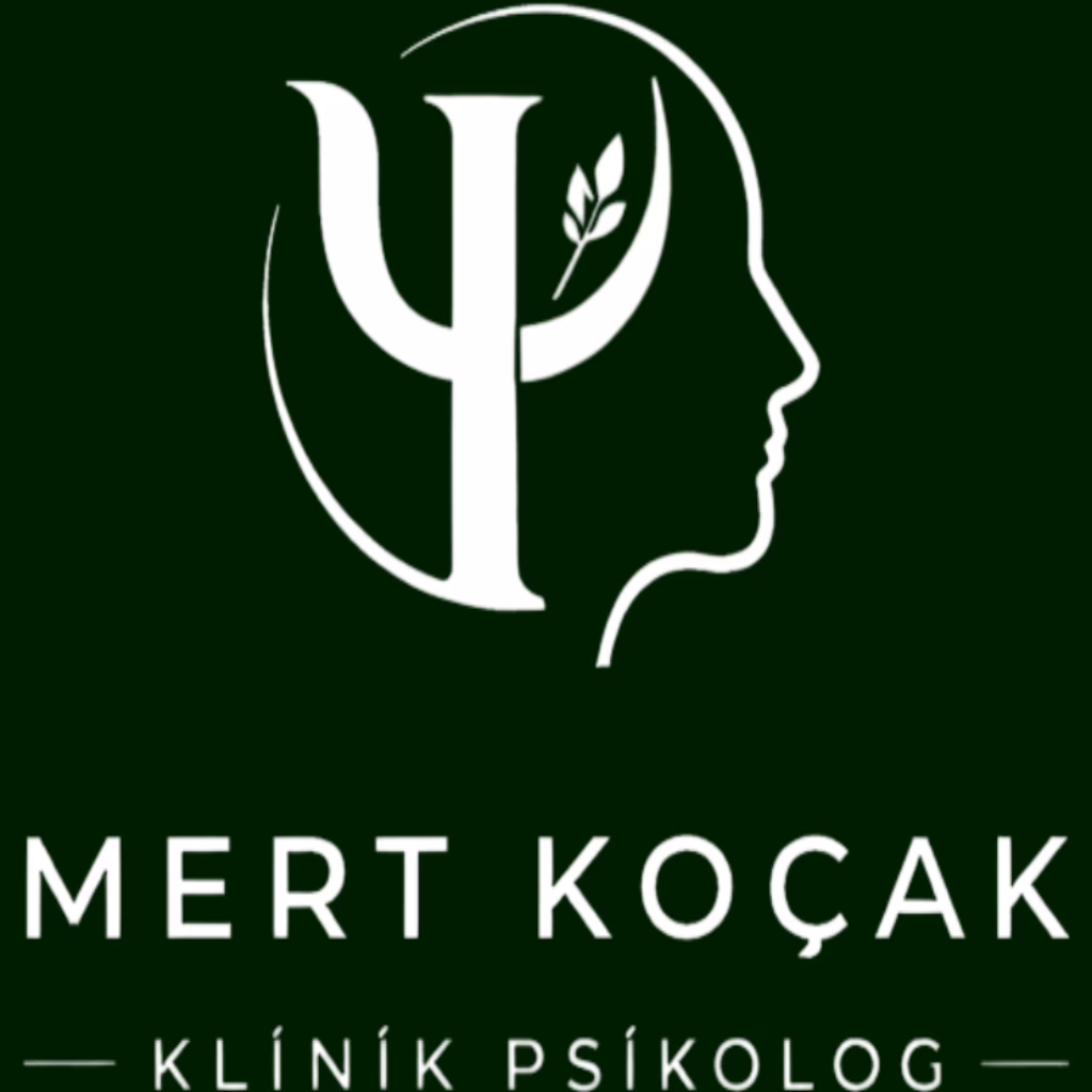 mert koçak